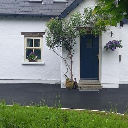 Cheerful Cottage Westport Exteriör bild